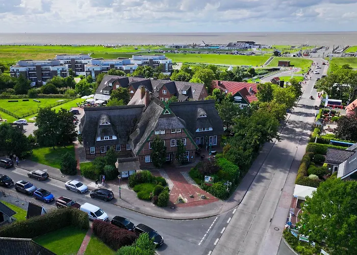 Kajediek 16-69 * דורום נויפלד