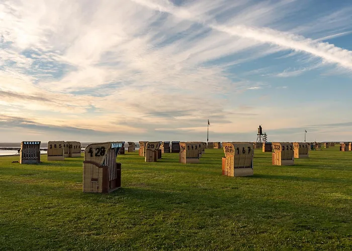 Kajediek 16-69 דורום נויפלד